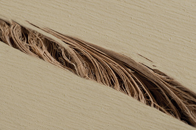 wheat split with fiberous strands